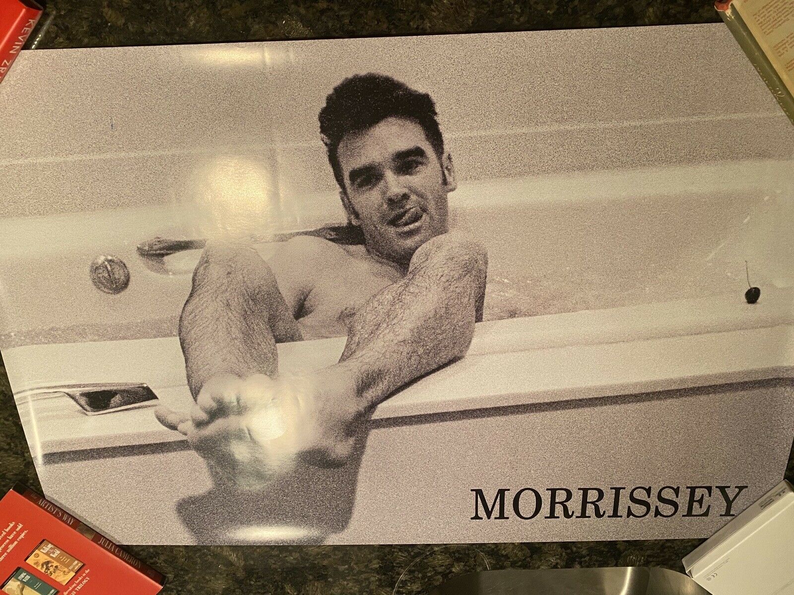Morrissey Bathtub Poster Smiths Pixies Joy Division Radiohead David Bowie Nin