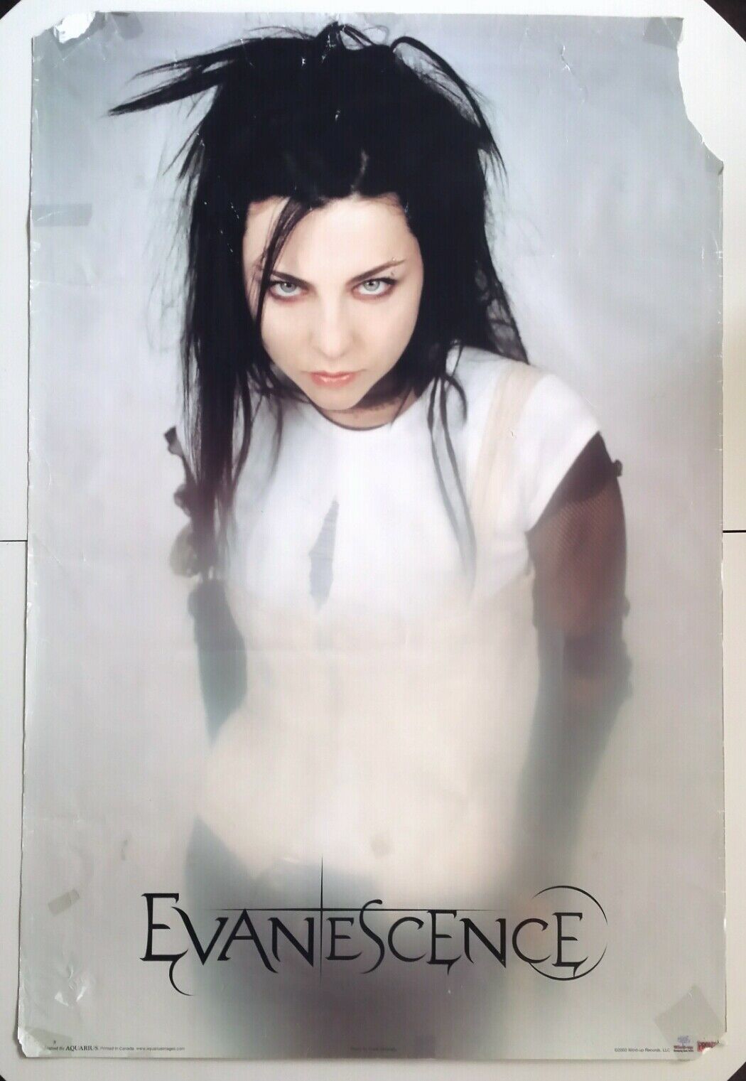 Amy Lee Evanescence Poster; 2003 Aquarius, Frank Veronsky 36" X 24"