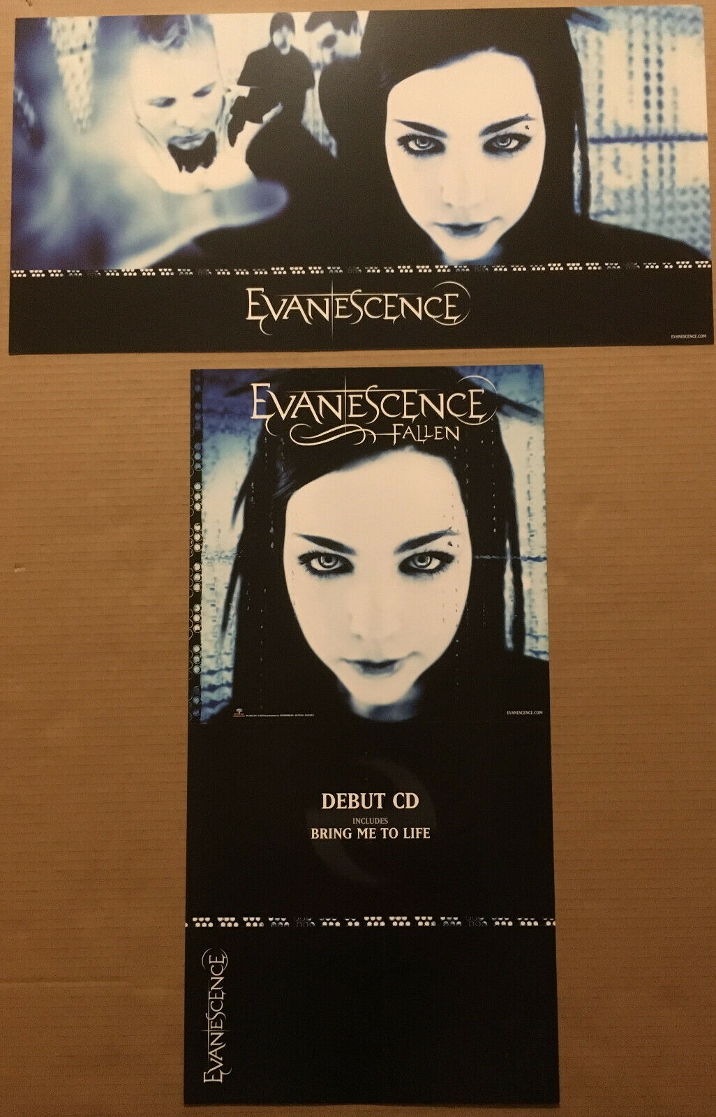 Evanescence Rare 2003 Double Sided Promo Poster Flat Of Fallen Cd 24x12 Mint Usa